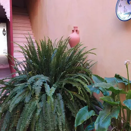 Appartement Jerezanos Jerez de la Frontera